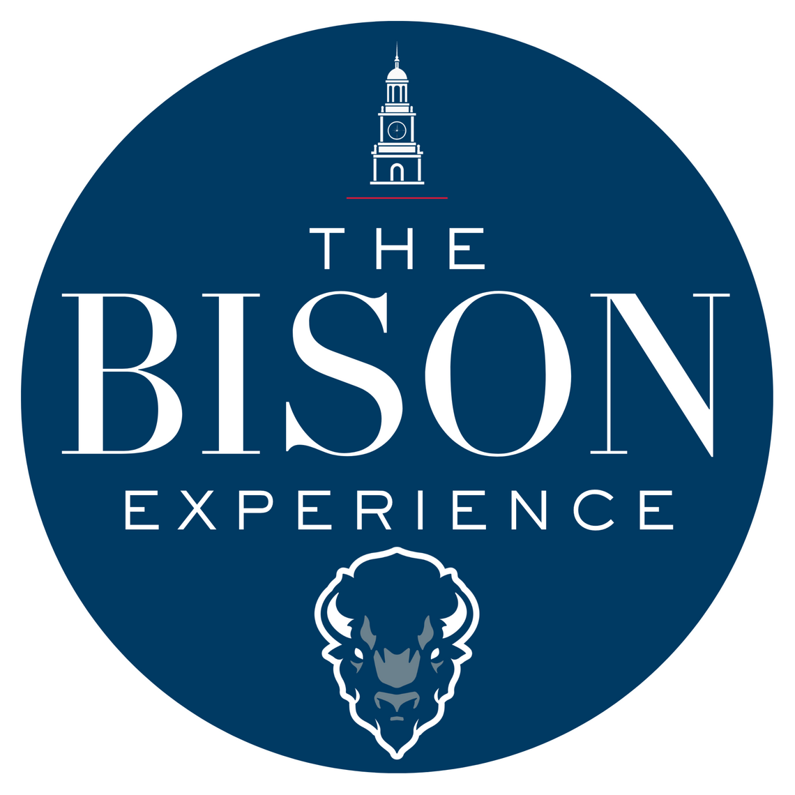 The Bison Experience